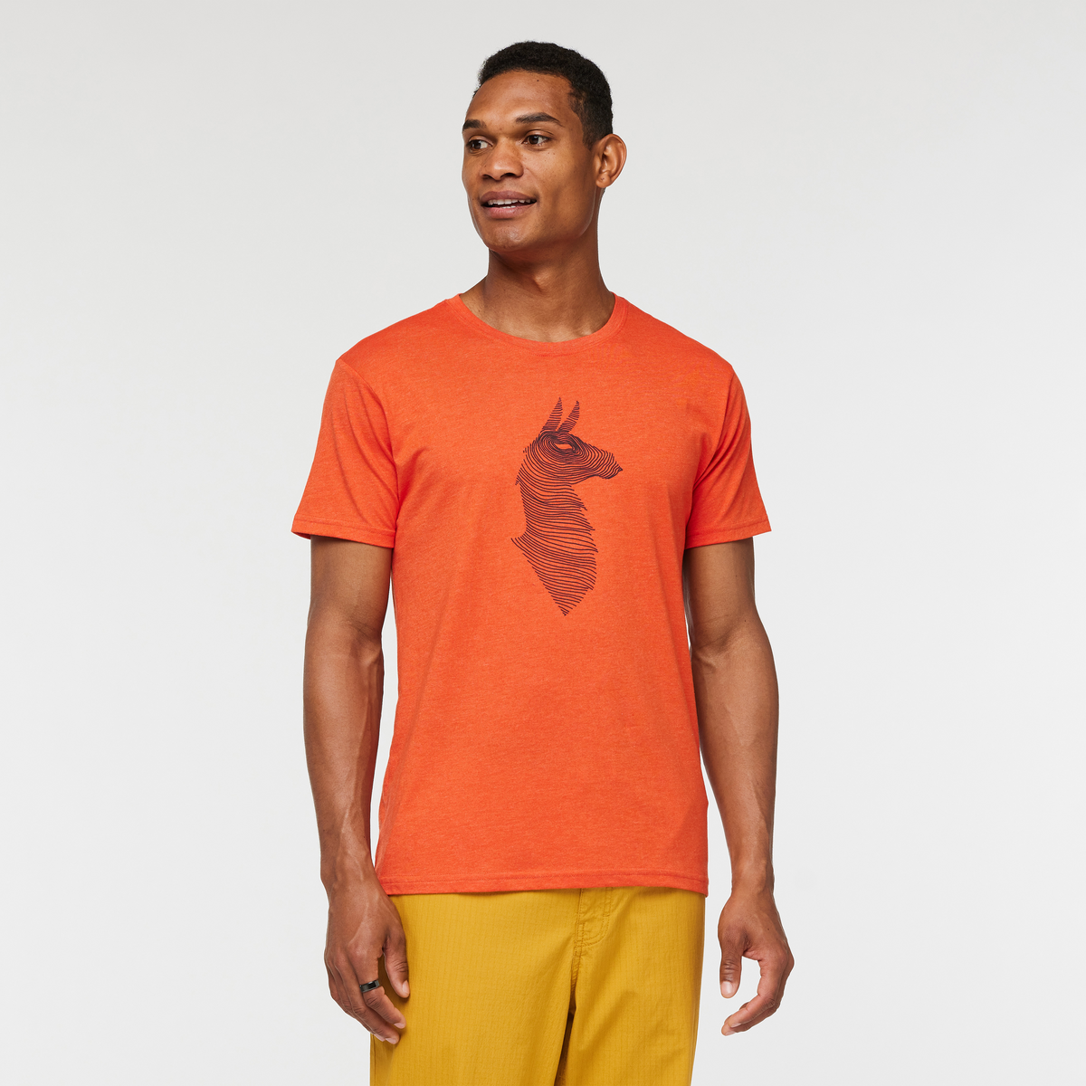 Topo Llama T-Shirt - Men's - Image 14