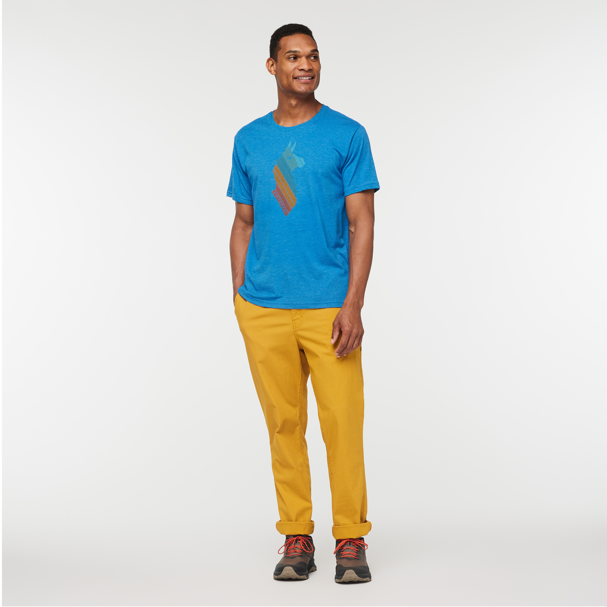 Llama Stripes T-Shirt - Men's - Image 2