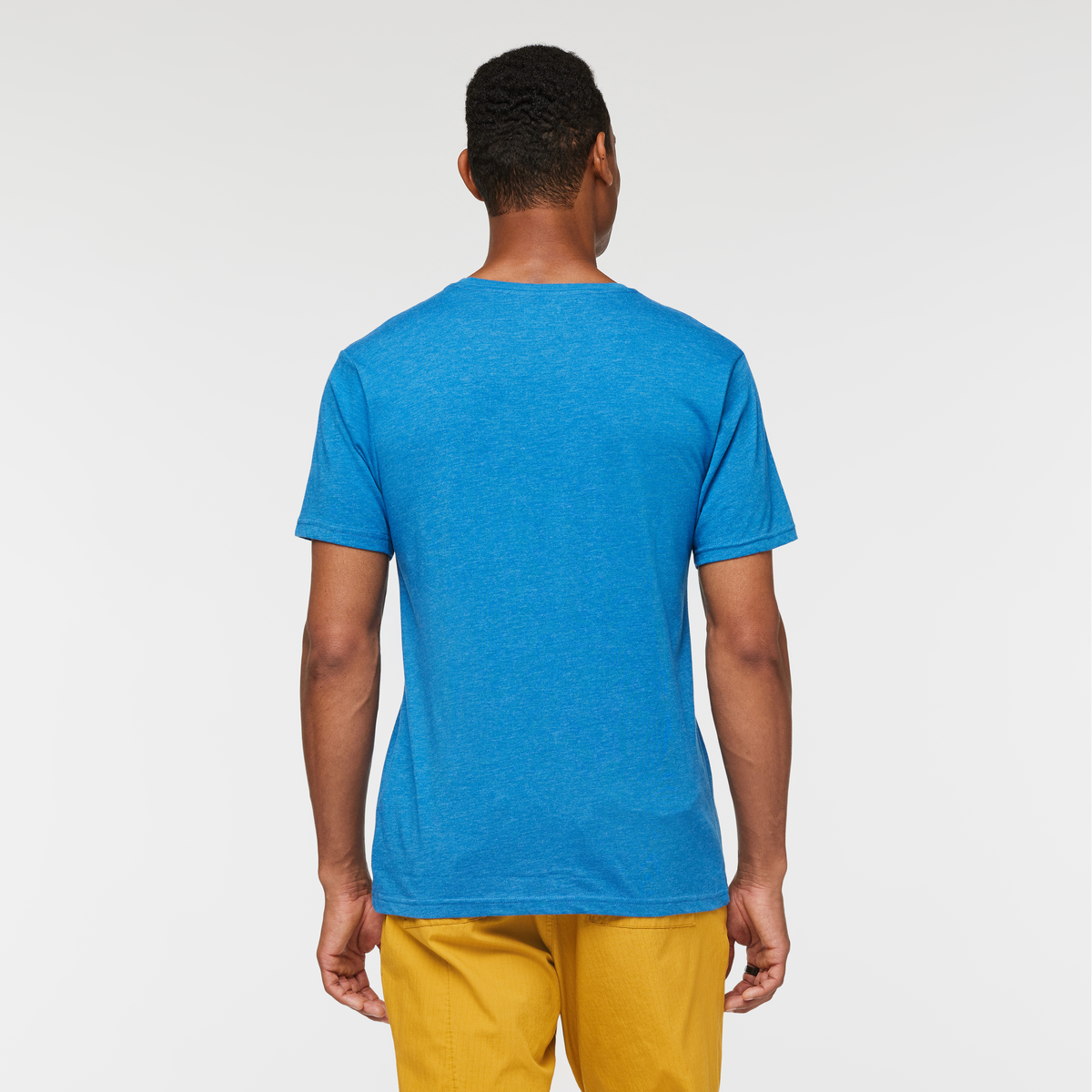 Llama Stripes T-Shirt - Men's - Image 4