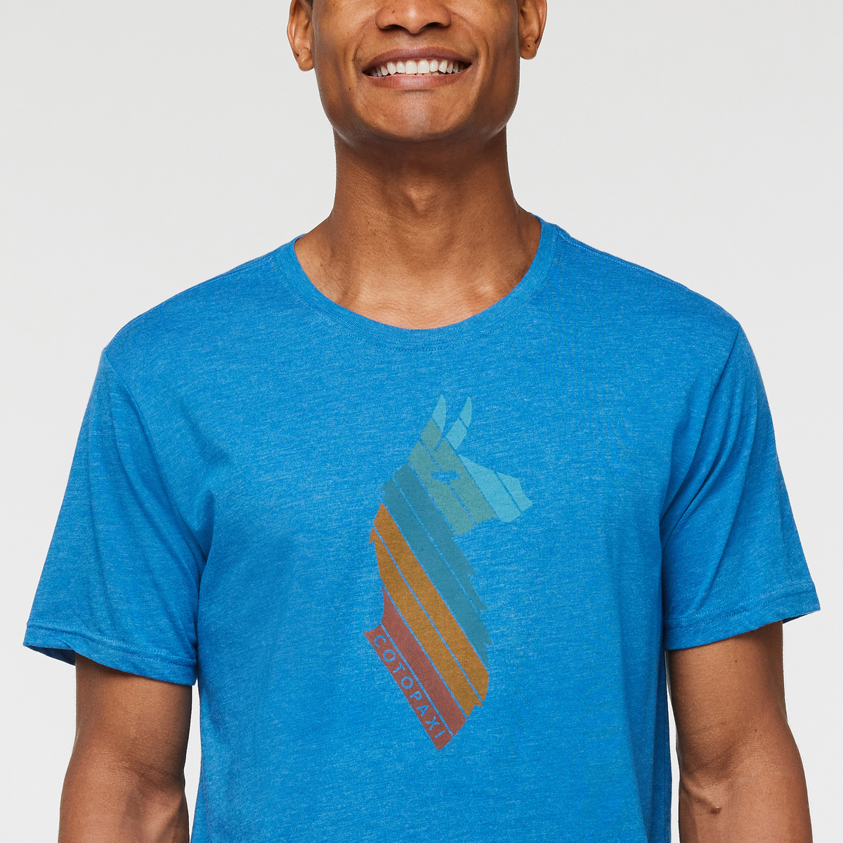 Llama Stripes T-Shirt - Men's - Image 5