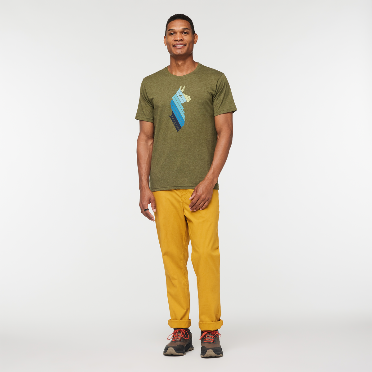 Llama Stripes T-Shirt - Men's - Image 7