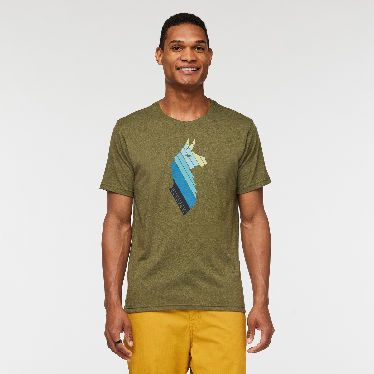 Llama Stripes T-Shirt - Men's - Image 6