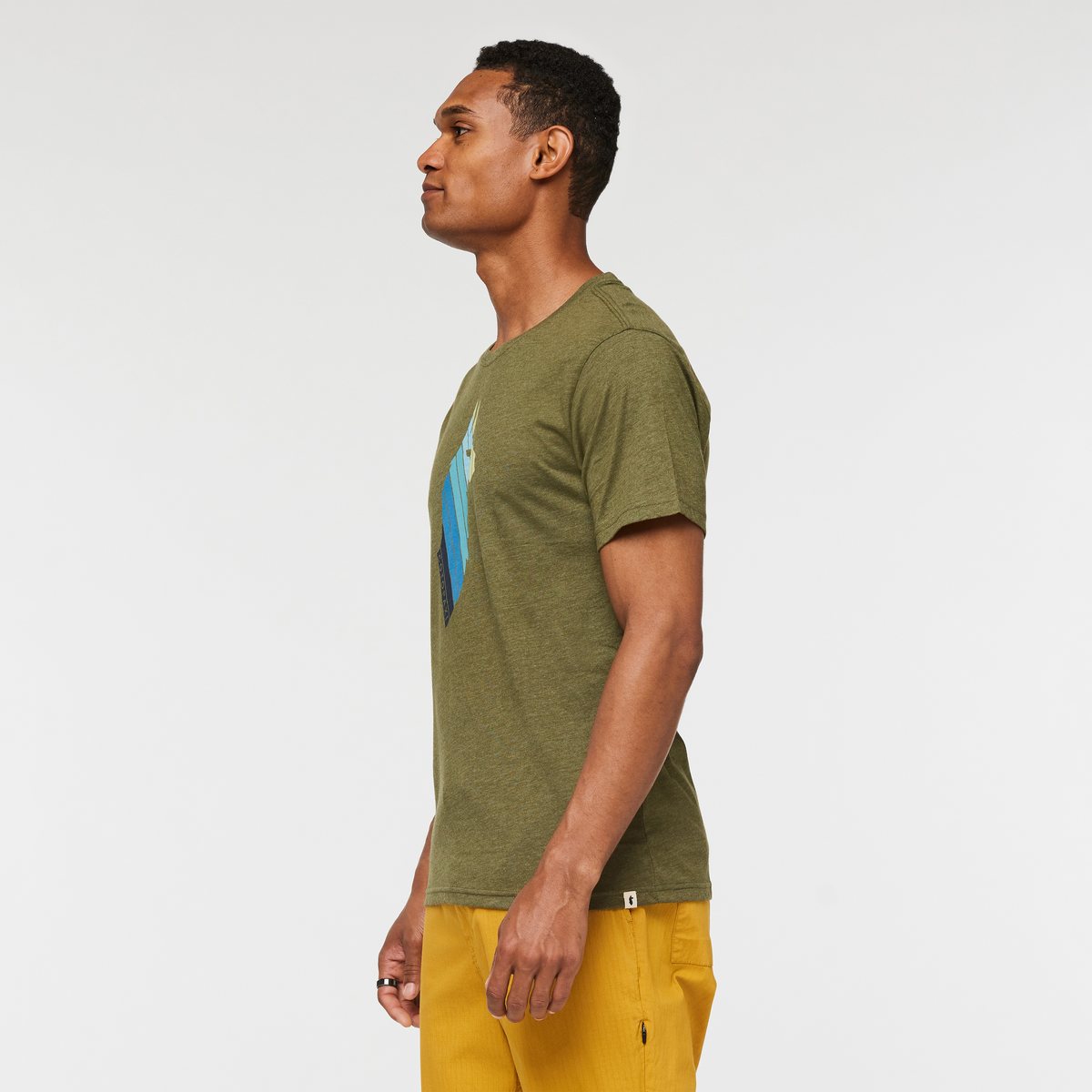 Llama Stripes T-Shirt - Men's - Image 8