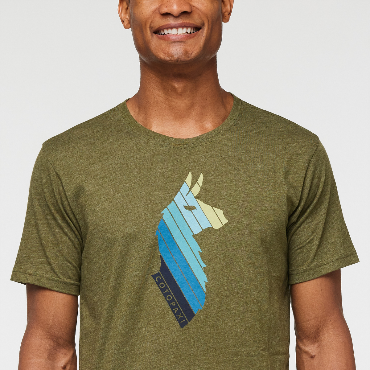 Llama Stripes T-Shirt - Men's - Image 10