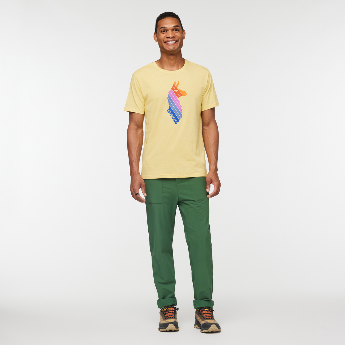 Llama Stripes T-Shirt - Men's - Image 12