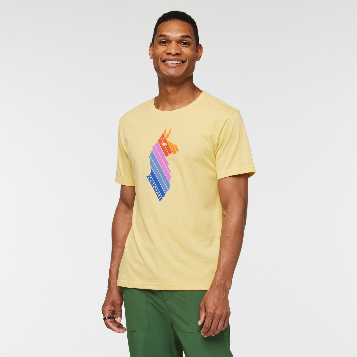 Llama Stripes T-Shirt - Men's - Image 11