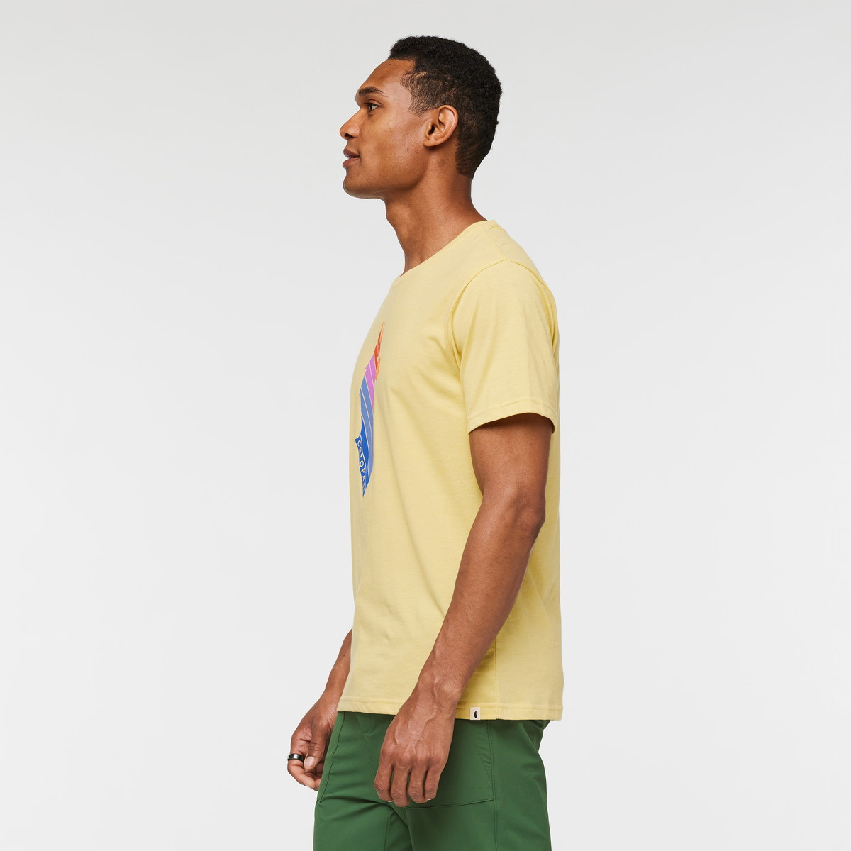 Llama Stripes T-Shirt - Men's - Image 13