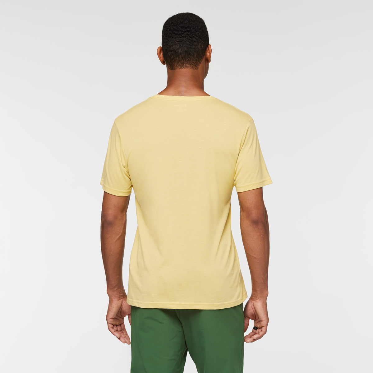 Llama Stripes T-Shirt - Men's - Image 14