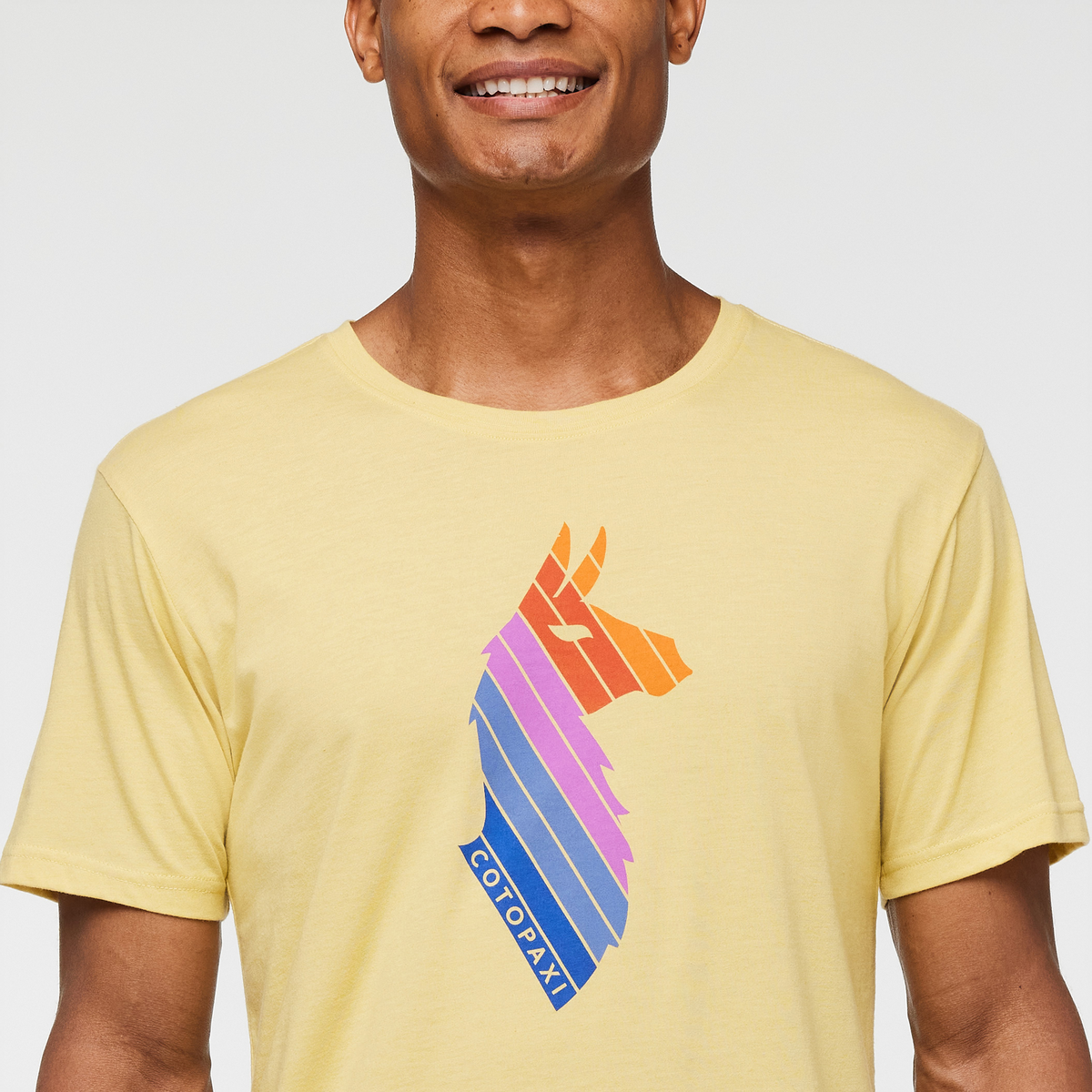 Llama Stripes T-Shirt - Men's - Image 15