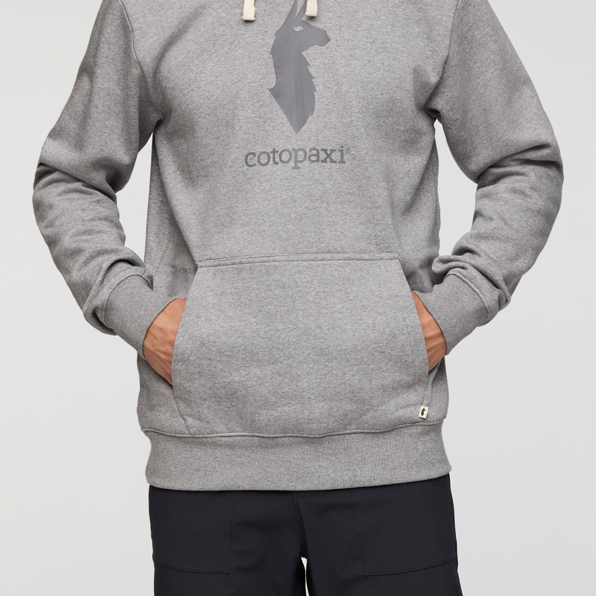 Cotopaxi Llama Pullover Hoodie - Men's - Image 6