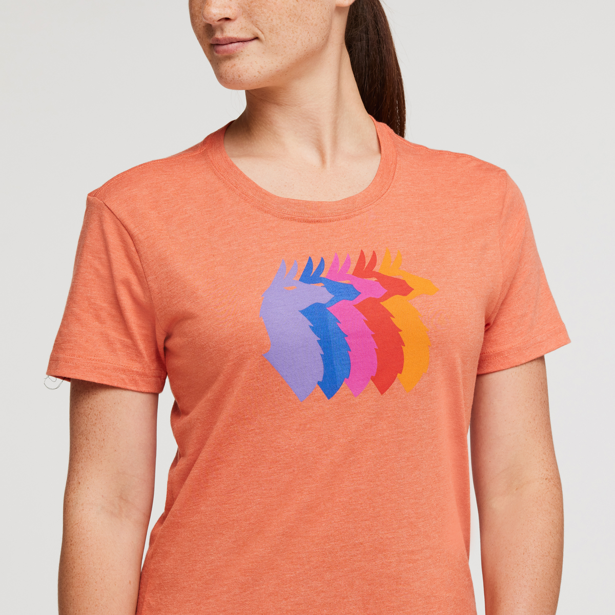 Llama Sequence T-Shirt - Women's - Image 5