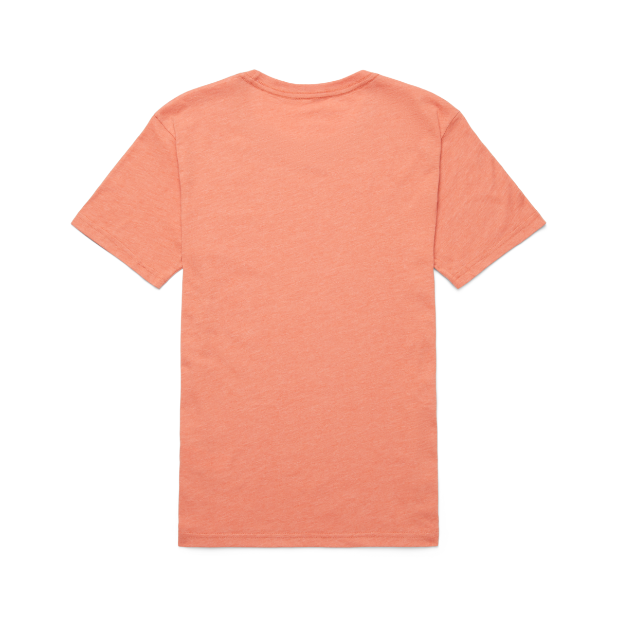 Topo Llama T-Shirt - Women's - Image 18