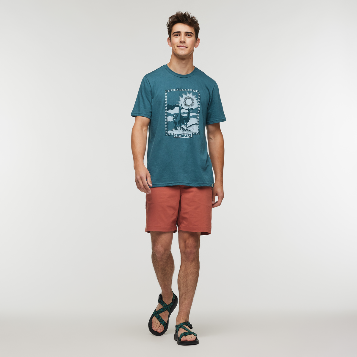 Llama Greetings T-Shirt - Men's - Image 2