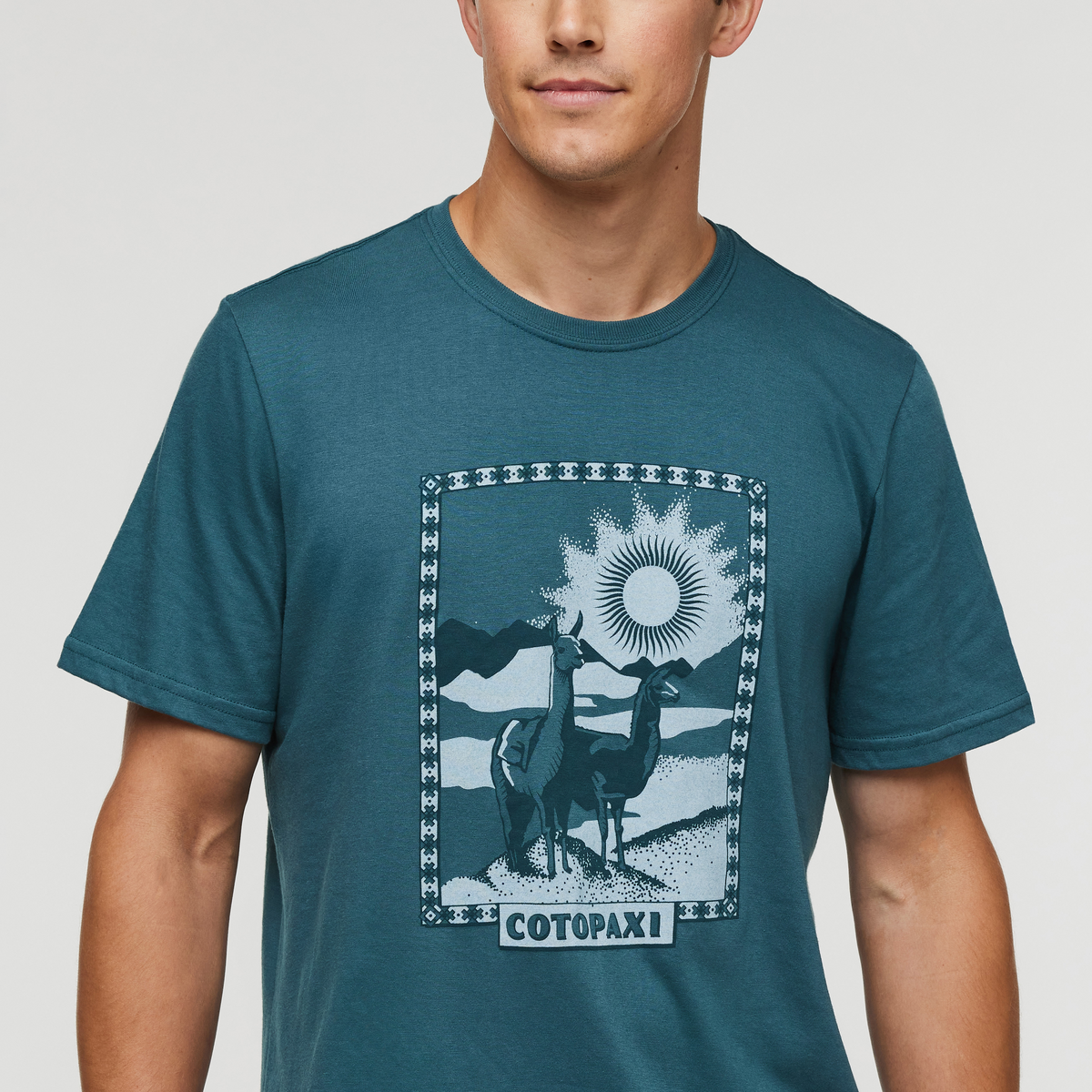 Llama Greetings T-Shirt - Men's - Image 5