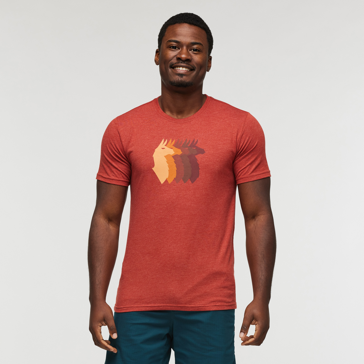Llama Sequence T-Shirt - Men's - Image 12