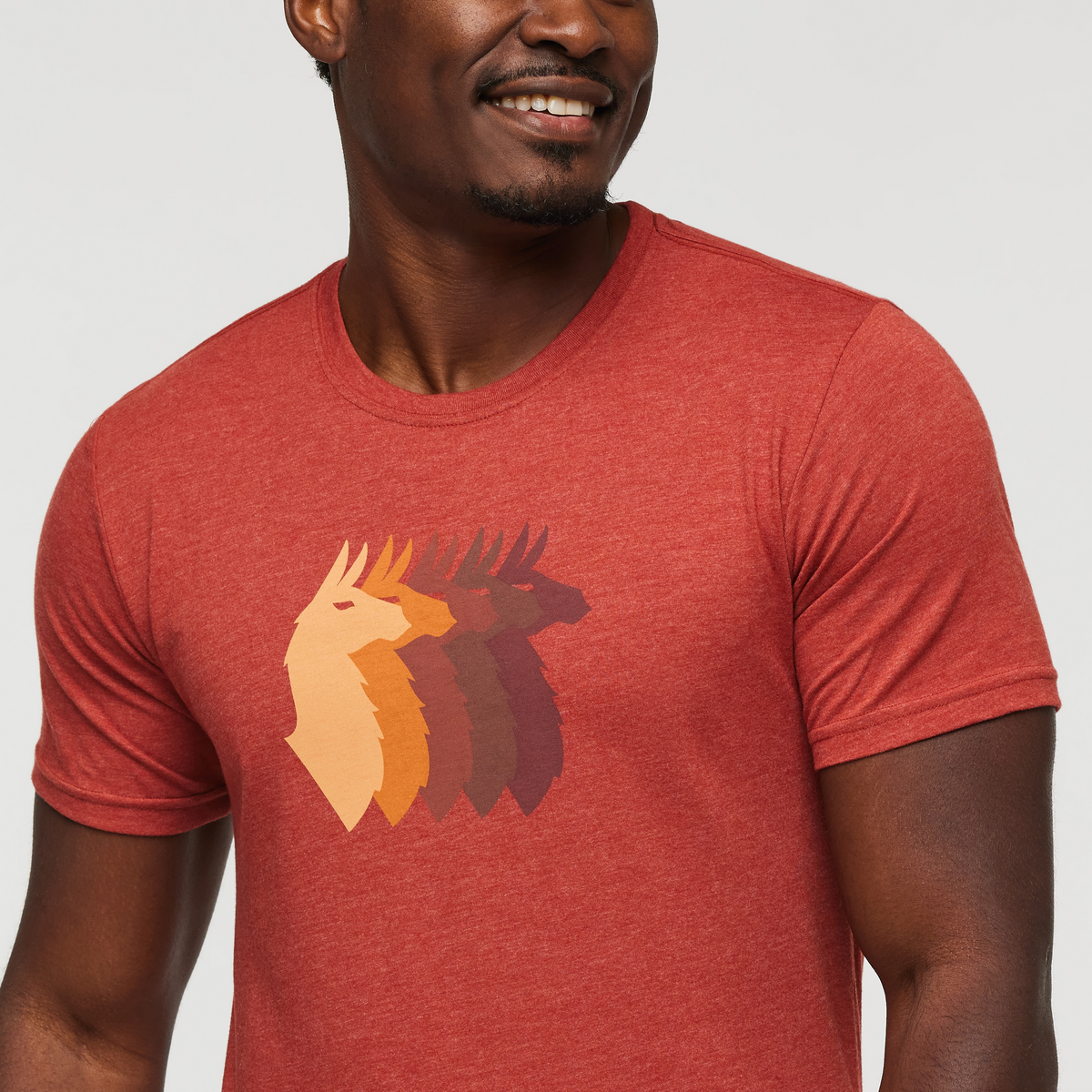 Llama Sequence T-Shirt - Men's - Image 16
