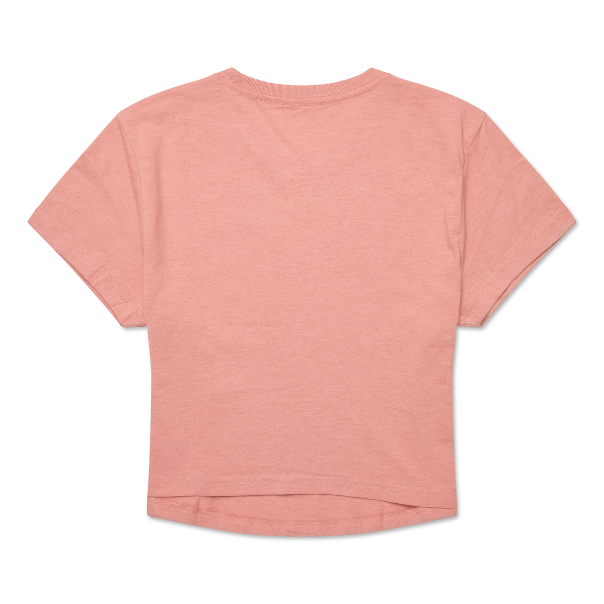 Tiny Llama Crop T-Shirt - Women's - Image 4