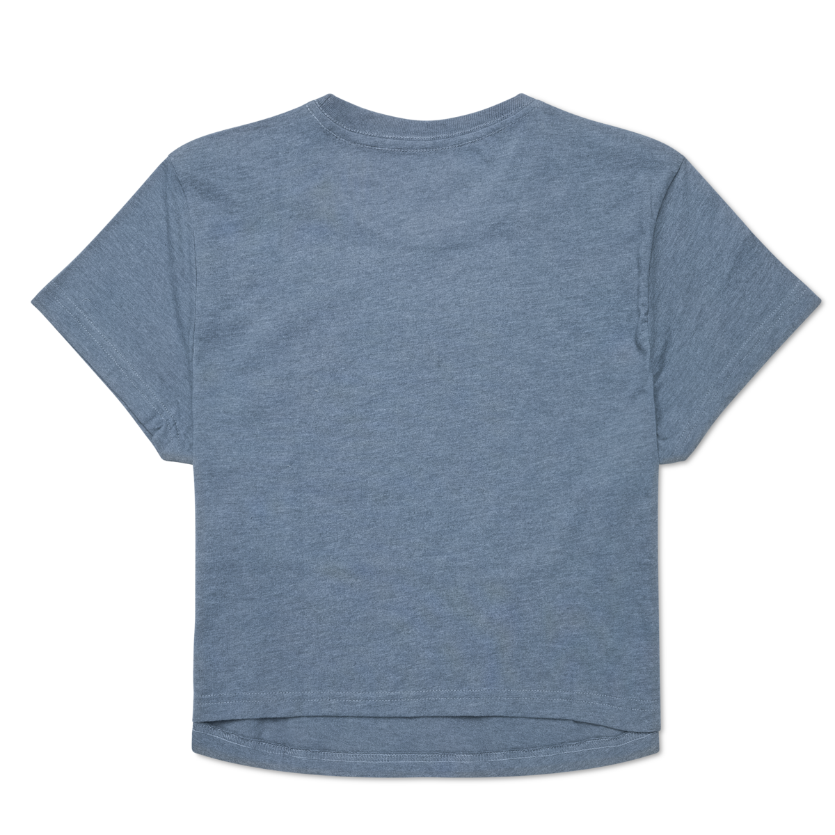Tiny Llama Crop T-Shirt - Women's - Image 2