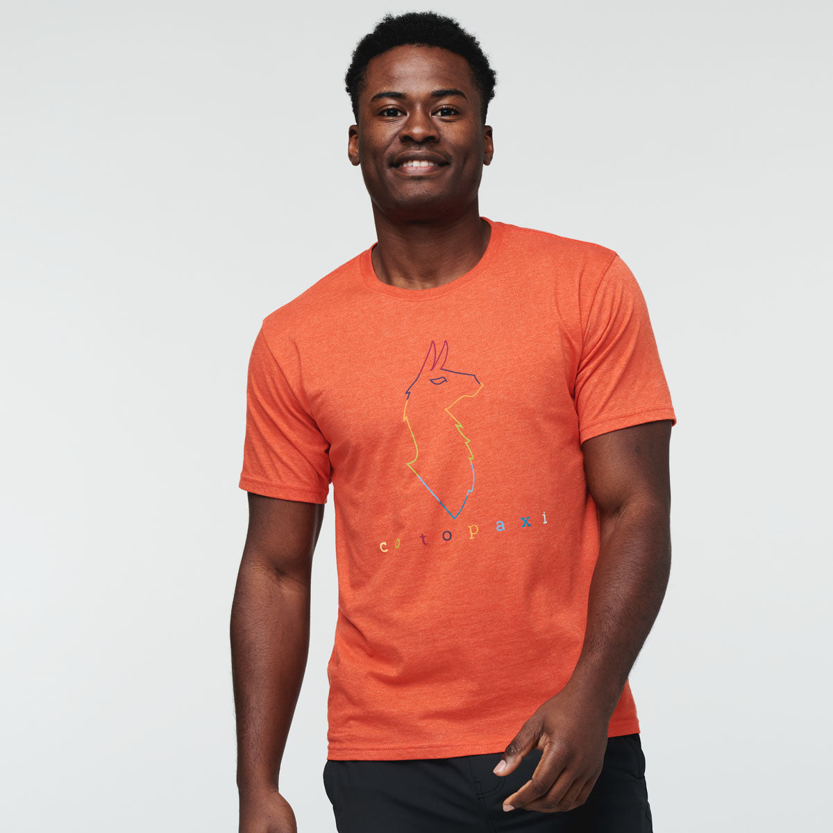 Electric Llama T-Shirt - Men's - Image 4