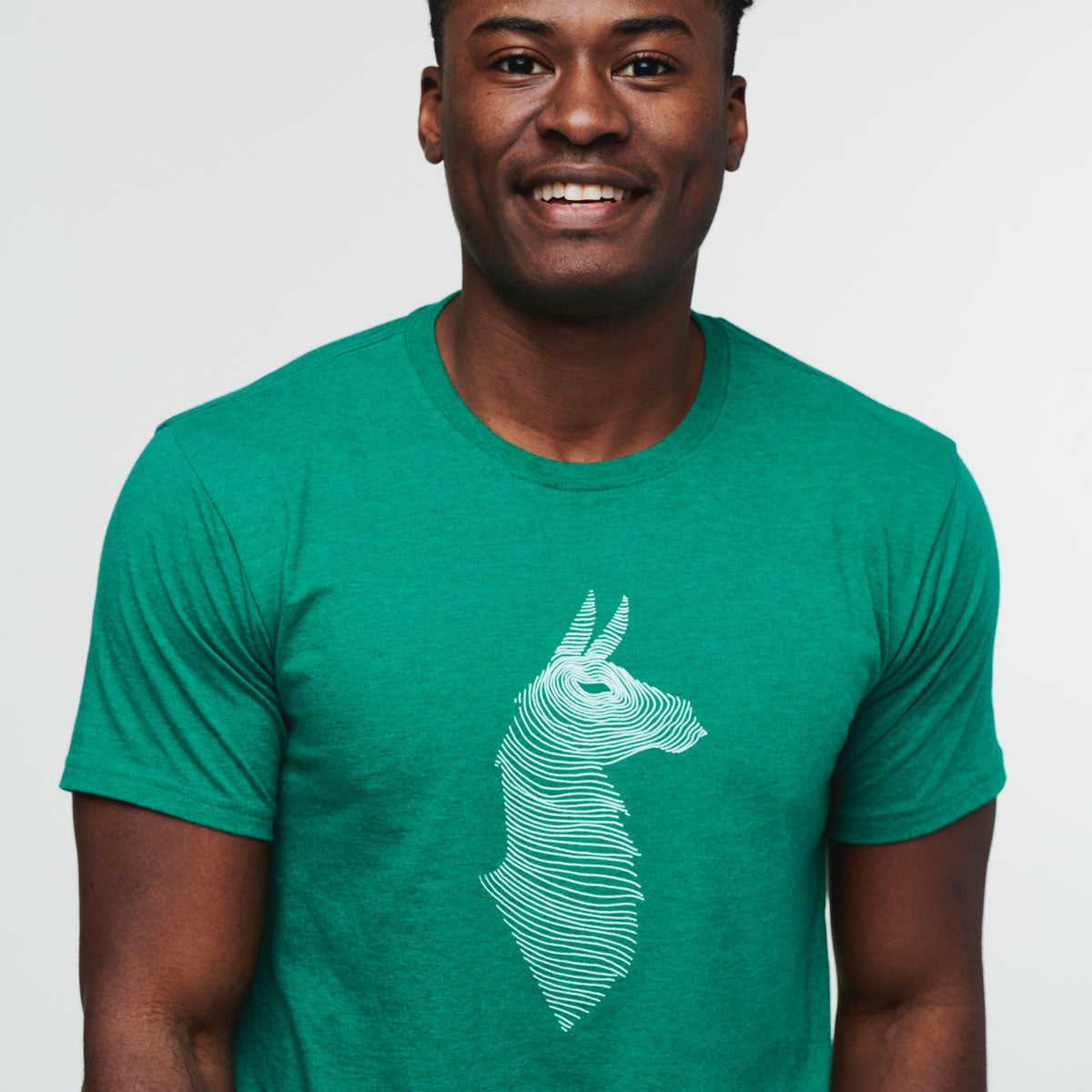 Topo Llama T-Shirt - Men's - Image 2