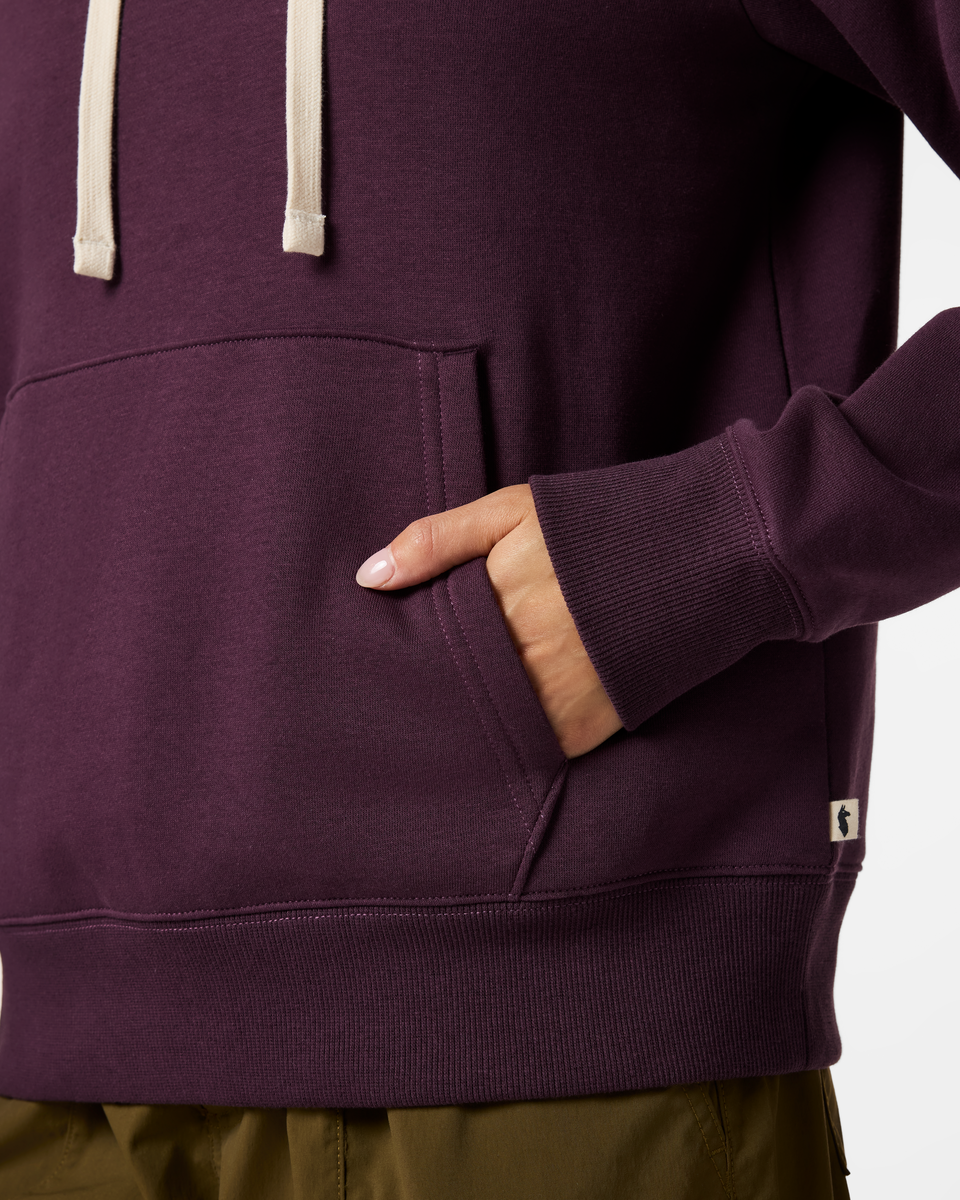 Cotopaxi Flag Pullover Hoodie - Women's - Image 10